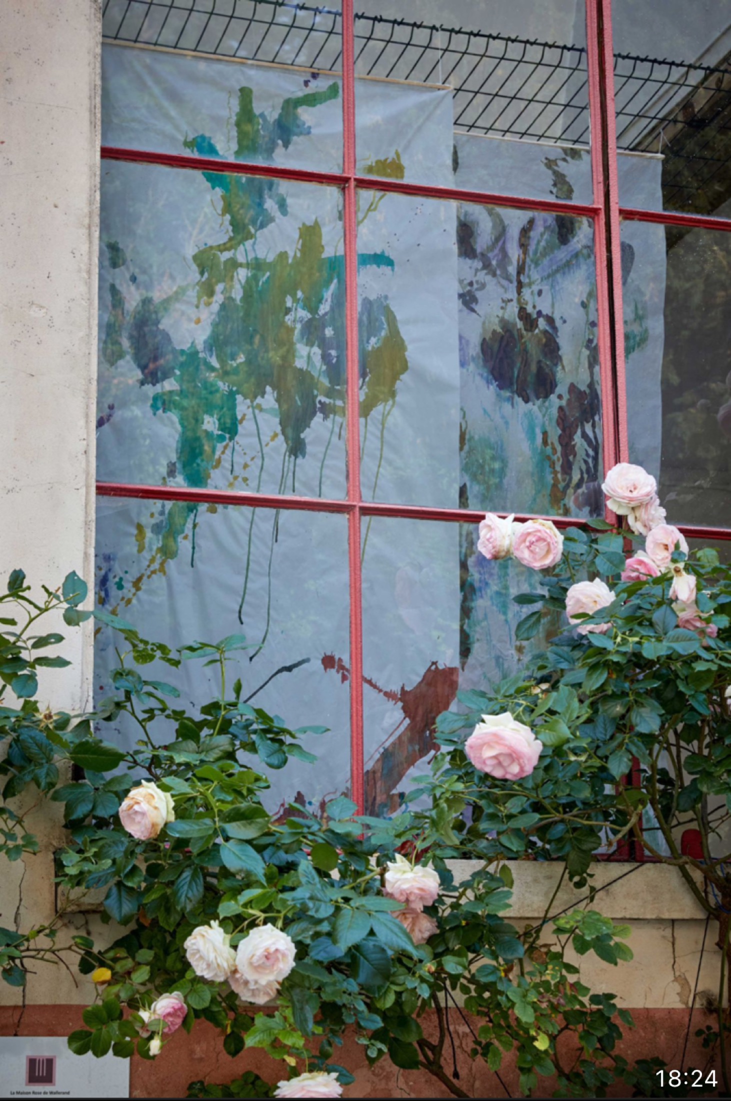 La verrière de la Maison Rose de Wallerand